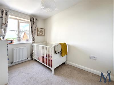 Picture 20
